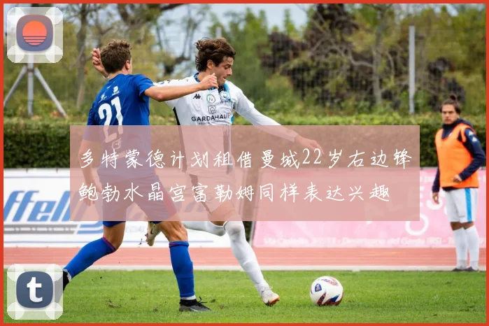 多特蒙德计划租借曼城22岁右边锋鲍勃水晶宫富勒姆同样表达兴趣