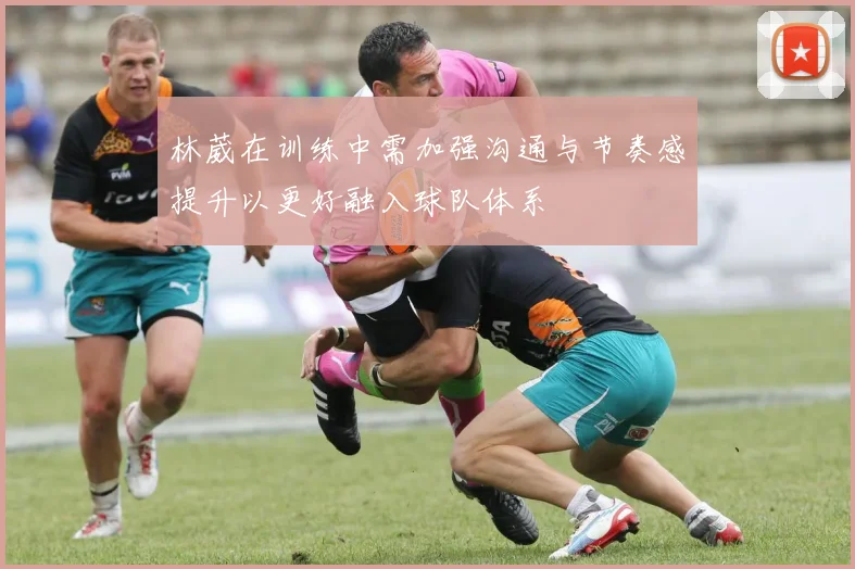 林葳在训练中需加强沟通与节奏感提升以更好融入球队体系