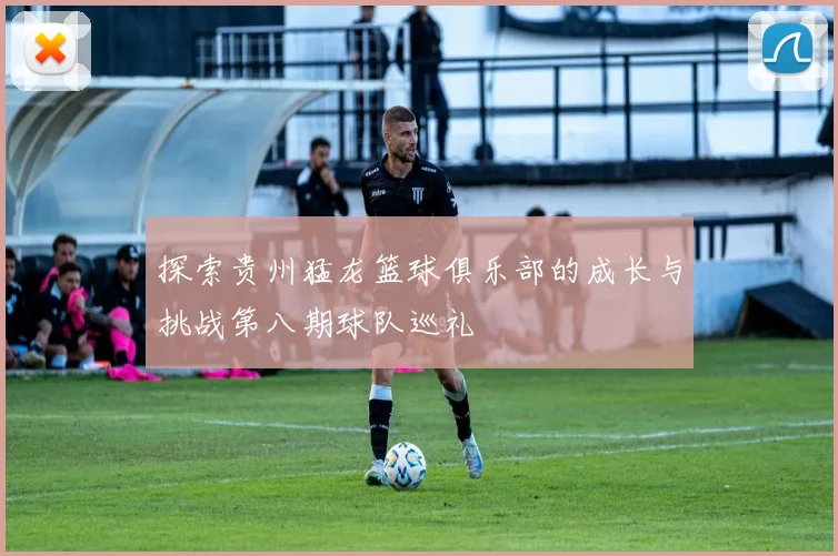 探索贵州猛龙篮球俱乐部的成长与挑战第八期球队巡礼
